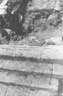 һ���͵Ļ����ż� (103543 bytes)